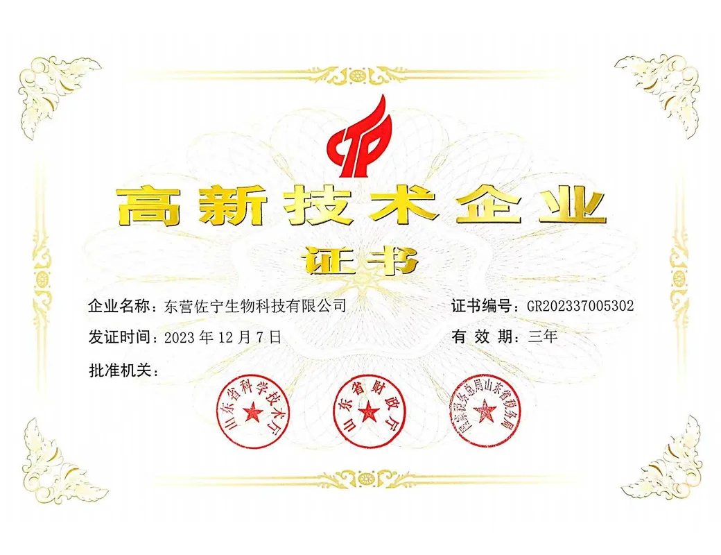 高新技术企业