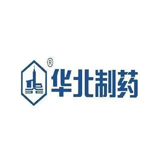 logo13
